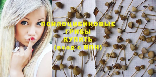 СК Кинешма