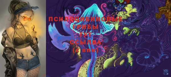 spice Киреевск