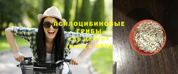 spice Киреевск
