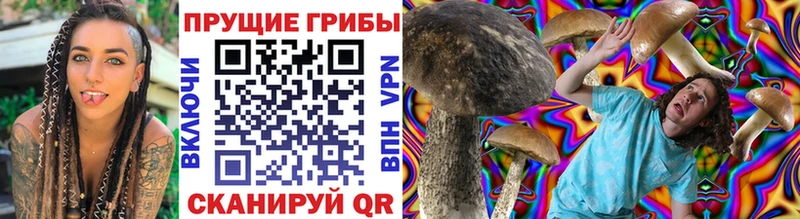 Псилоцибиновые грибы Psilocybine cubensis  Купить  Семилуки 